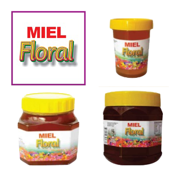 Panal de miel x 350 g - Miel panal de Mil Flores con aroma floral,  cosechada en UE. Miel en panal, mejora las defensas, propiedades  antivirales.